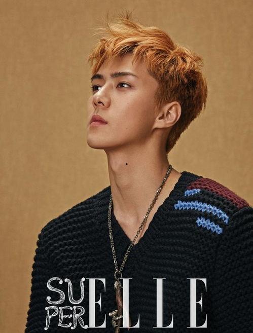 exo吴世勋的背景,从韩国偶像到国际巨星，EXO成员的成长之路